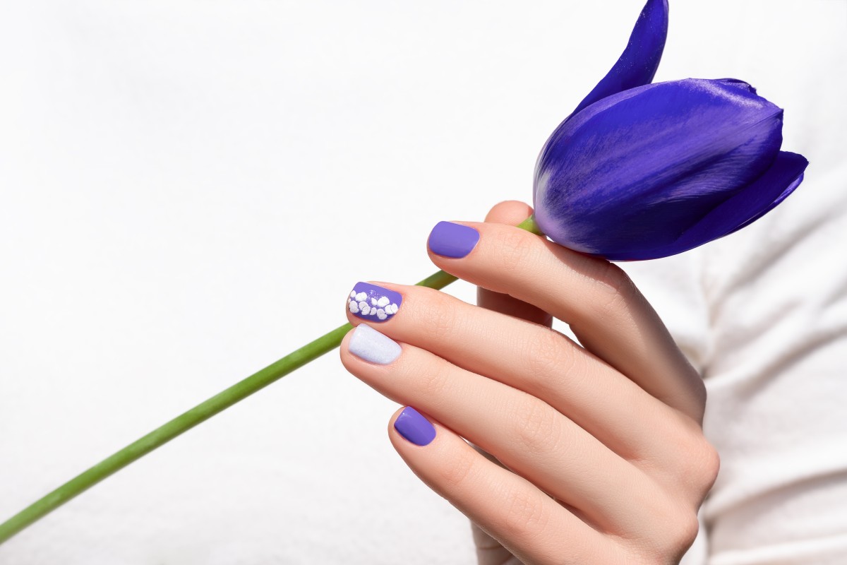 purple-nail-design-female-hand-with-purple-manicure-holding-tulip-flower (1)